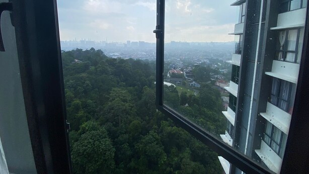 Blick vom Hochhausfenster auf ein dicht bewaldetes Gebiet mit einer Stadtlandschaft im Hintergrund.