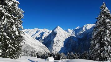 Eine verschneite Berglandschaft mit Bäumen und blauem Himmel.