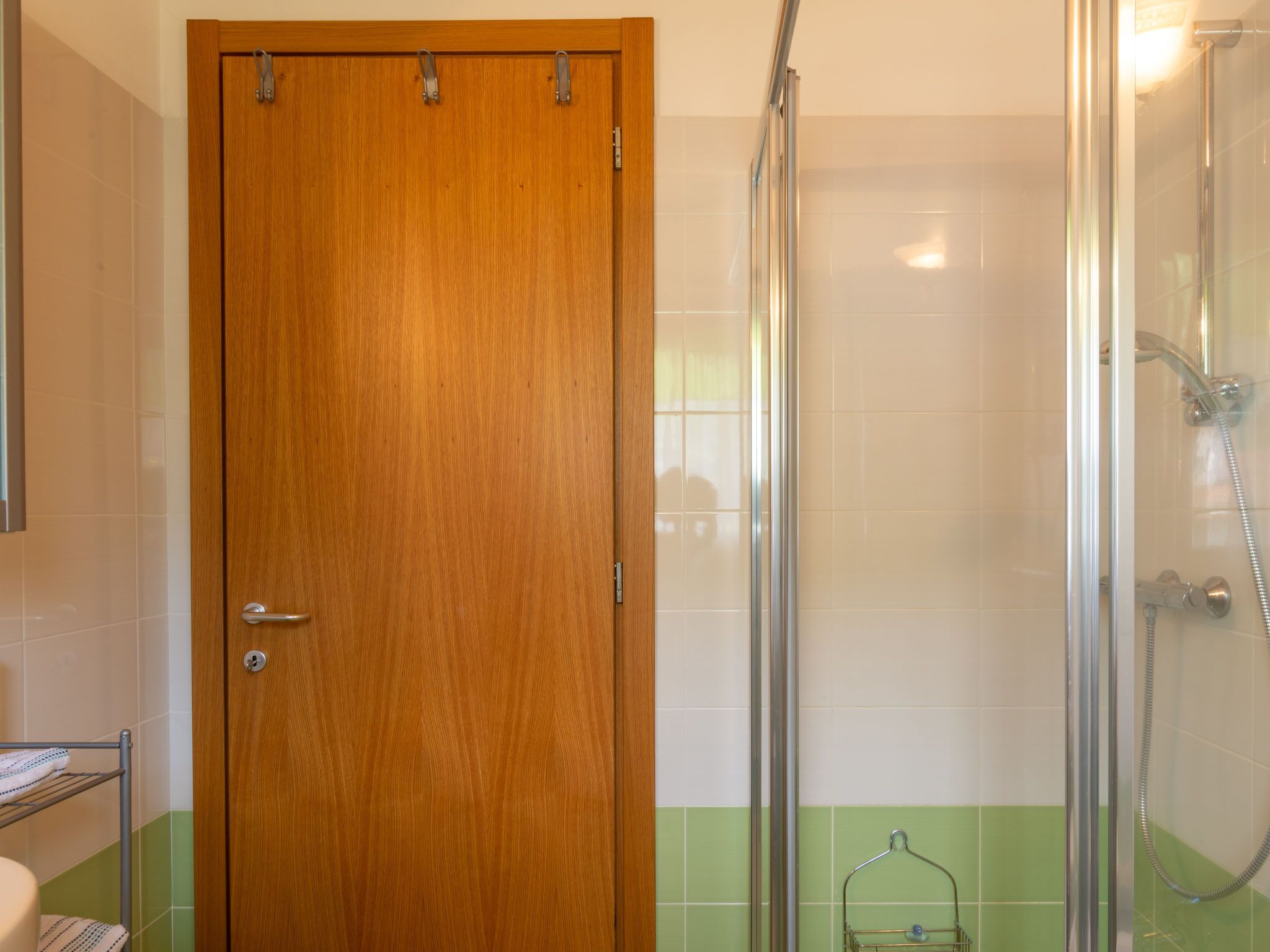 A wooden door with a handle, a glass shower enclosure with a showerhead, and a towel rack with a towel.