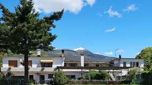 A two-story building with a flat roof and a large tree in the foreground.