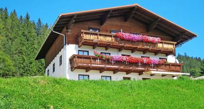 Tobias 2 by Interhome