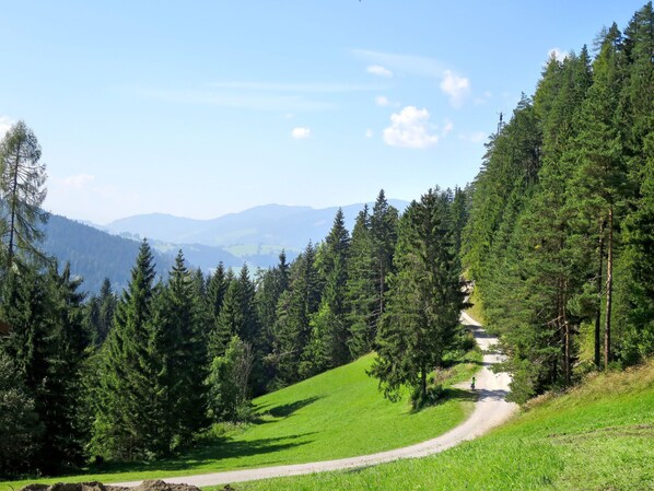 A winding road through a forested area with a clear view of distant mountains.