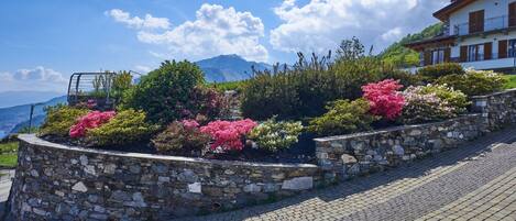 Un muro de piedra con un jardín de arbustos rosas y verdes, un camino empedrado y un edificio con balcón al fondo.