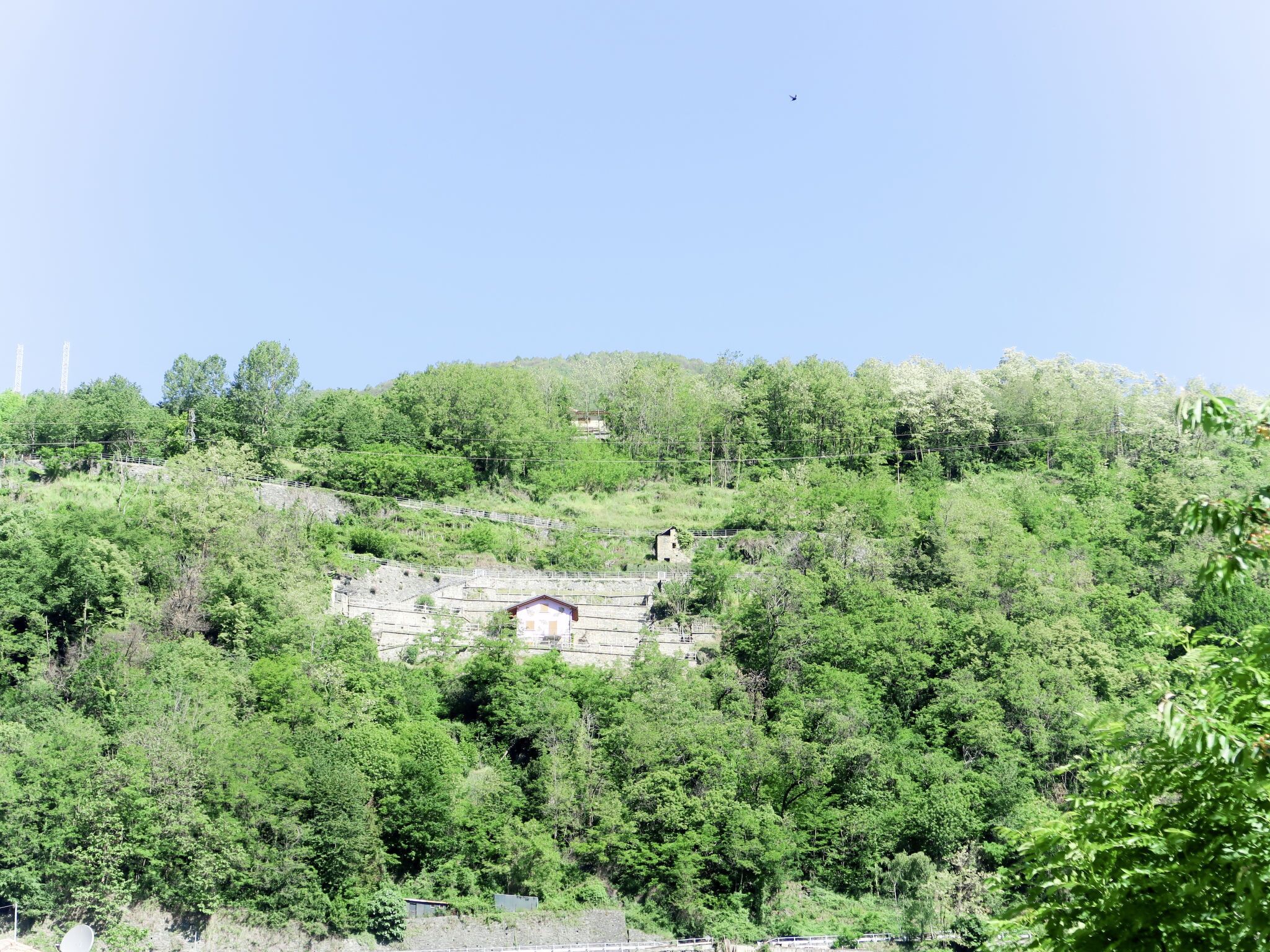 A hillside with a stone building surrounded by dense green trees.