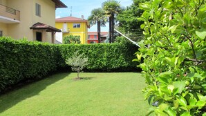 Ein gepflegter Garten mit einem kleinen Baum, ordentlich geschnittenen Hecken und einem Rasen.