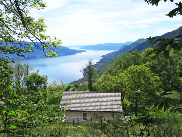 Une petite maison avec un toit en tuiles, entourée d’une végétation luxuriante et donnant sur un lac.