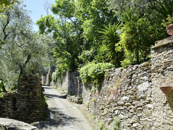Parco della struttura