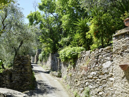 Bellissimi (DOL280) by Interhome