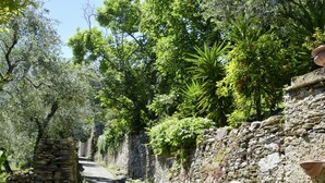 A narrow stone pathway flanked by lush greenery and stone walls, suggesting a rustic, natural setting. - Laura (DOL281) by Interhome (Dolcedo)