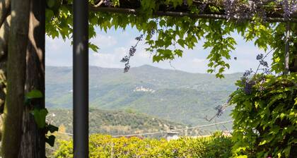 Laura (DOL281) by Interhome