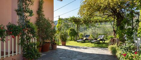 A stone-paved patio with potted plants and a white fence.