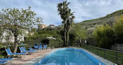 Asplanato (DOL166) by Interhome