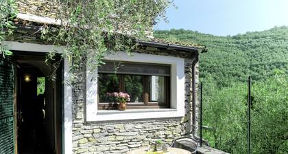 Asplanato (DOL160) by Interhome
