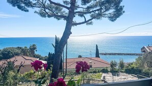 A coastal view with a prominent pine tree, a clear blue sky, and a distant view of the sea. - Alfreda (SLR101) by Interhome (San Lorenzo al Mare)