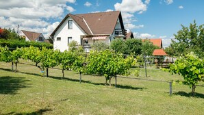 Un vignoble avec des rangées de vignes devant une maison blanche au toit brun.