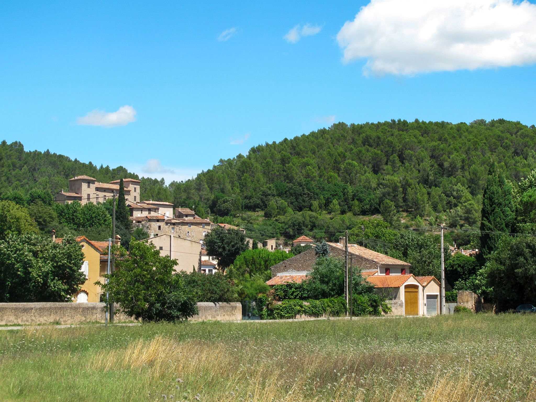 A rural village with traditional buildings, a field in the foreground, and a forested hill in the background.