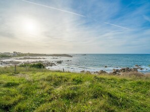 Un paisaje costero con un primer plano cubierto de hierba, costa rocosa y cielo despejado.