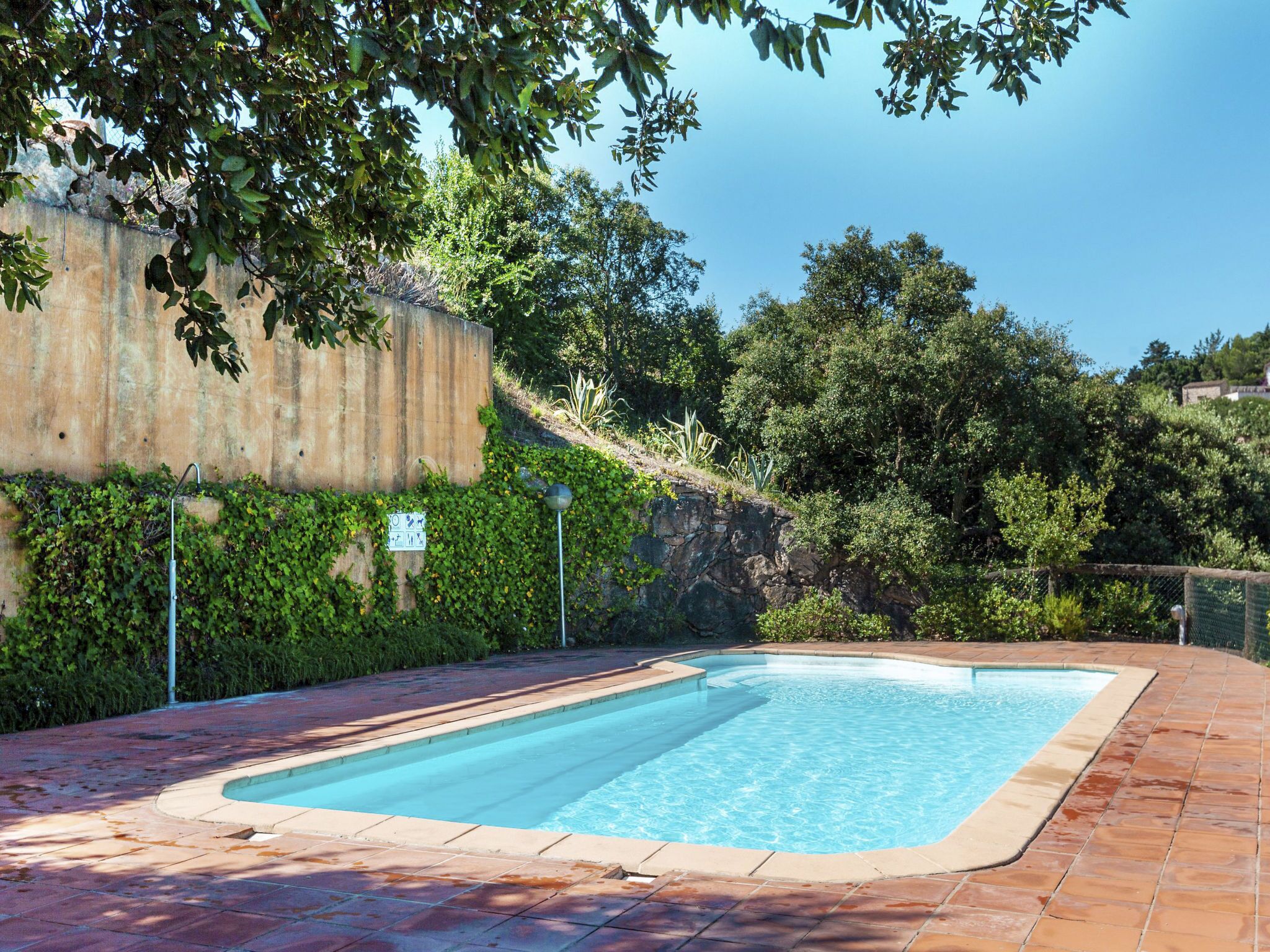 A rectangular swimming pool with a tiled deck, surrounded by greenery and a stone wall.