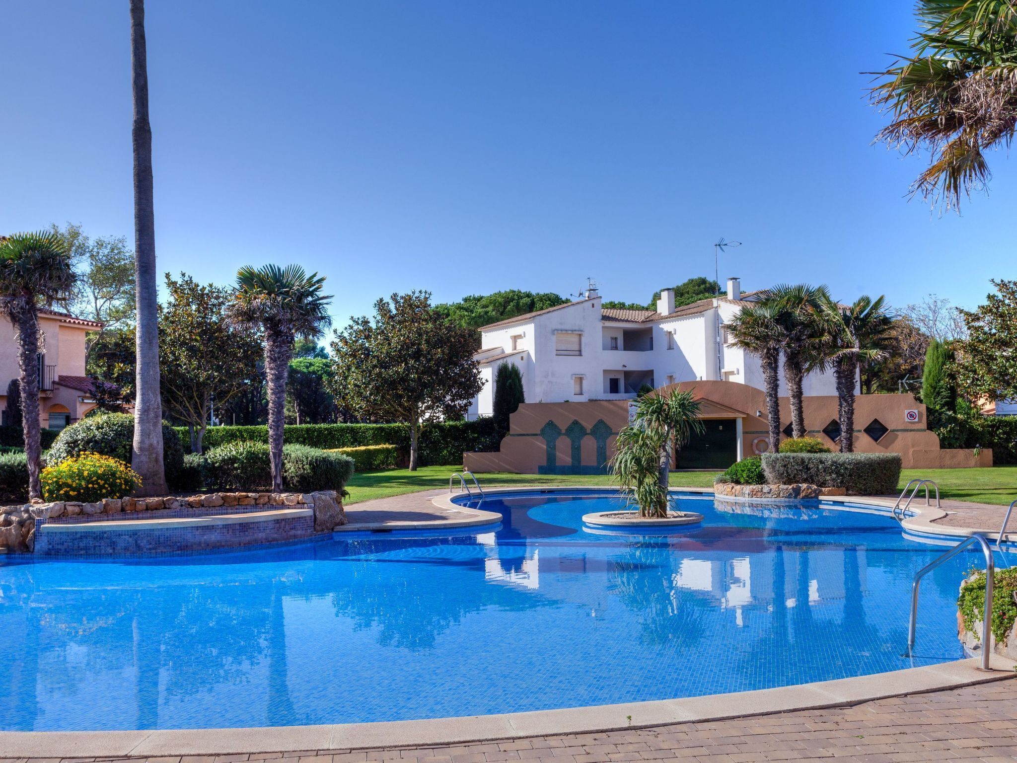 A swimming pool with a clear blue water feature, surrounded by palm trees and a well-maintained garden.