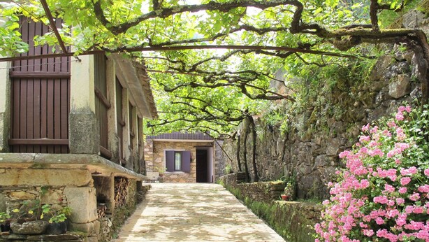 A stone pathway leading to a rustic building with a wooden door, surrounded by lush greenery and pink flowers. - Senhor do Socorro by Interhome (Caminha)