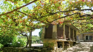 A stone building with a covered porch, surrounded by a stone wall and a stone pathway. - Senhor do Socorro by Interhome (Caminha)
