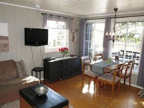 TV, fireplace