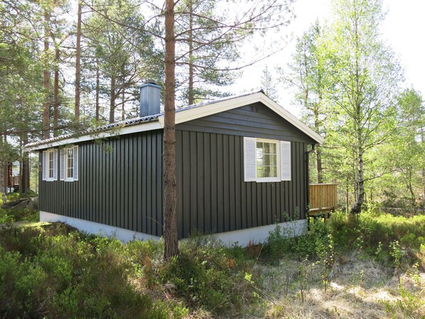 Eksteriør