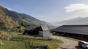 A rural landscape with a farmhouse, a barn, and a dirt road. - Bauernhof Gasteg (L) by Interhome (Kaprun)