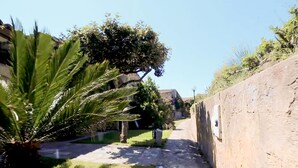 Un sendero estrecho bordeado por un muro de piedra y abundante vegetación, que conduce a un edificio con tejado de tejas.