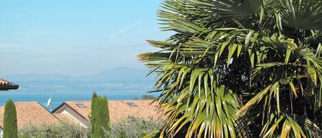 A residential area with a view of the sea, featuring a palm tree and neatly arranged houses with red-tiled roofs.