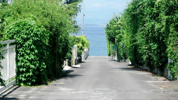 Une route étroite bordée d’une végétation luxuriante, avec une étendue d’eau visible au loin.