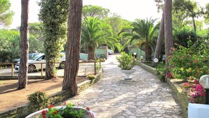 Un sentier pavé de pierres, bordé d’arbres et de plantes en pot, mène à un bâtiment à la façade blanche.