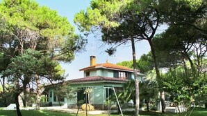 Une maison avec un toit en tuiles et une cheminée, entourée d’arbres et d’une cour gazonnée.