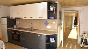 A compact kitchen with a sink, stove, and oven. There is a small shelf with a potted plant and a basket. - Apartment Deluca by Interhome (Pozza di Fassa)