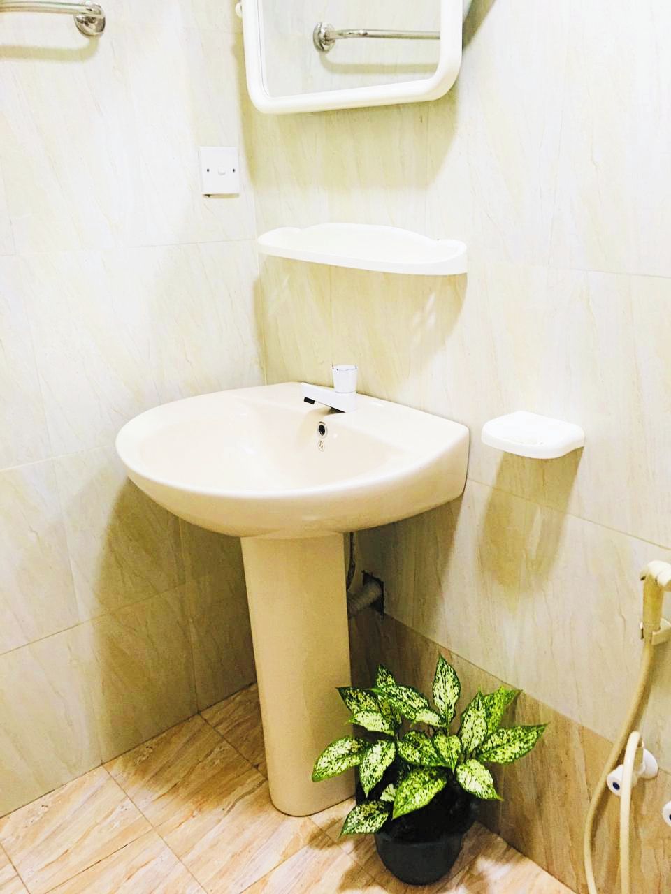 A bathroom with a pedestal sink, a small mirror, and a potted plant.