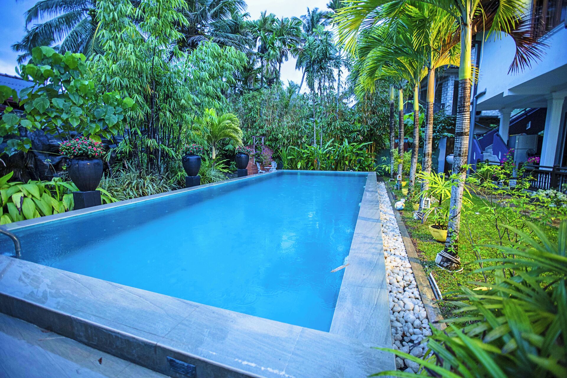 Una piscina rectangular rodeada de exuberante vegetación y palmeras, con un camino de piedra que conduce a un edificio con balcón.