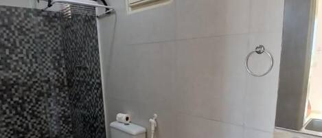 A bathroom with a toilet, shower, and sink.