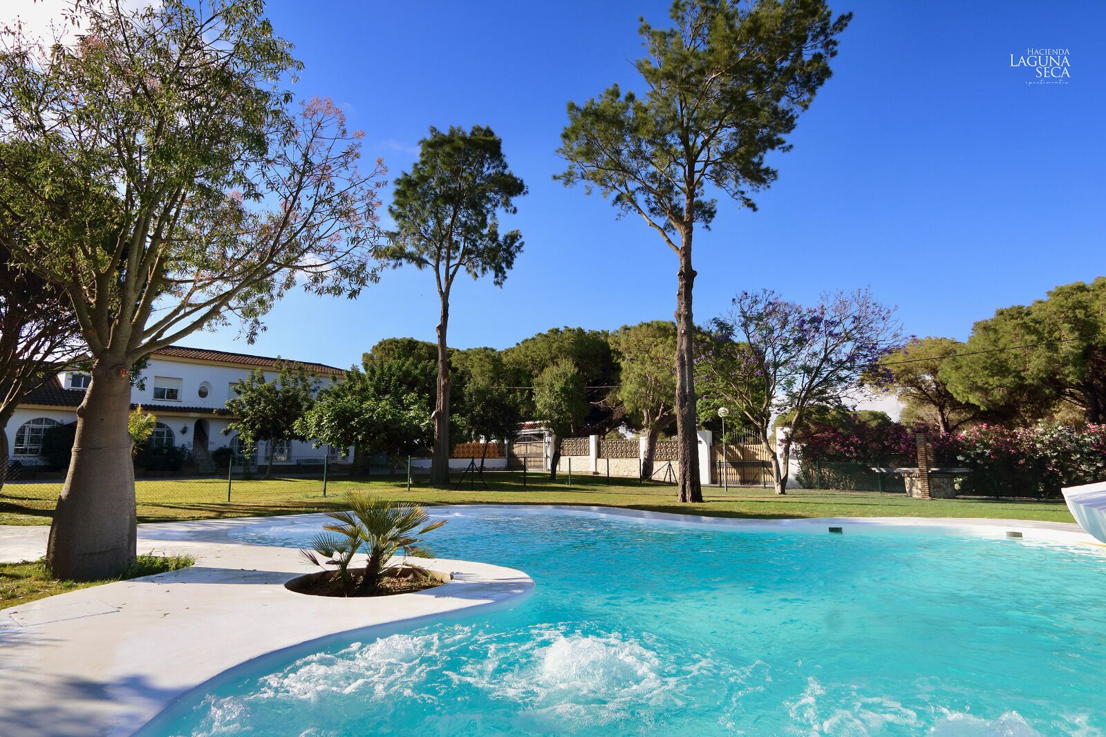 Una piscina rodeada de árboles y un edificio de fachada blanca.