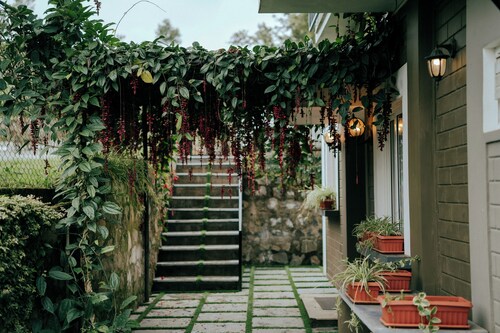 Fine Luxury Homestay