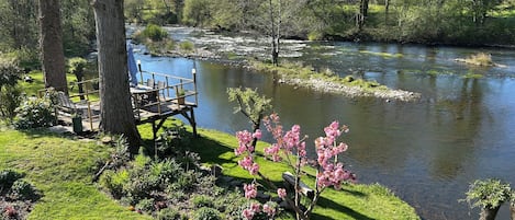 Vista al río con una terraza y sillas que dan al río, rodeado de árboles y vegetación.