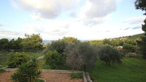 Un jardin aménagé avec une variété d’arbres et d’arbustes, un sentier en pierre et une vue sur une ville lointaine.