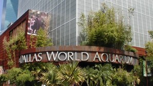 The exterior of the Dallas World Aquarium with a large glass facade and a prominent sign.
