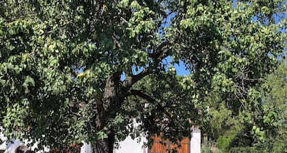 Casa Villa con Piscina Naturaleza a 25 Kilómetros de Madrid