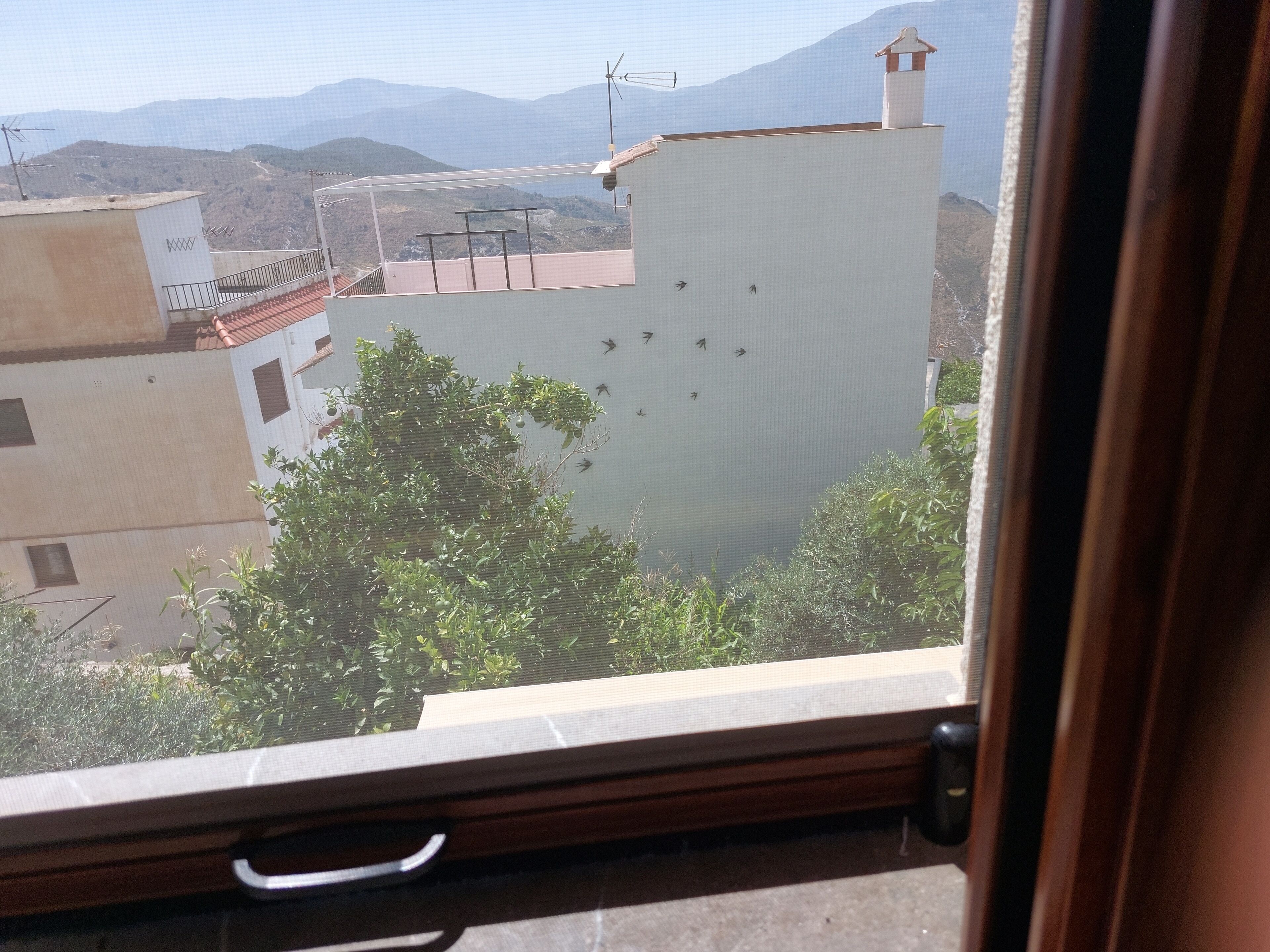 Blick aus einem Fenster auf ein Gebäude mit Balkon und einen Berg im Hintergrund.