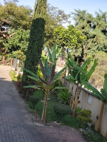 Chic 2-bedroom with WiFi and AC in marvelous Arusha