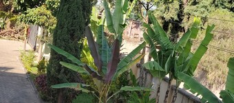 Chic 2-bedroom with WiFi and AC in marvelous Arusha