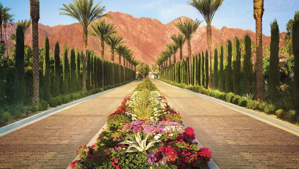 A paved pathway flanked by palm trees and cypress trees, leading towards a mountainous backdrop. - Santa Rosa Cove #61 - 3 bedrooms, 3.5 Baths (La Quinta)