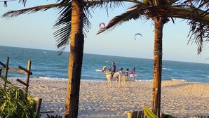 Een strand met een houten omheining, palmbomen en een paard en wagen met mensen.