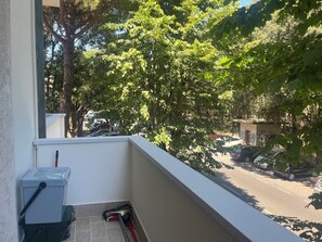 Property grounds - Sea view, apartment with private parking space in front of pine forest, for families (Viareggio)