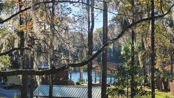 House, 3 Bedrooms | Property grounds